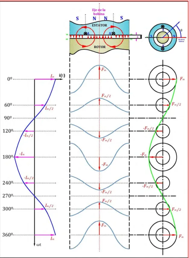 Fig. Nº 2.8: F.m.m. producida por un devanado concentrado alimentado con corriente  AC 