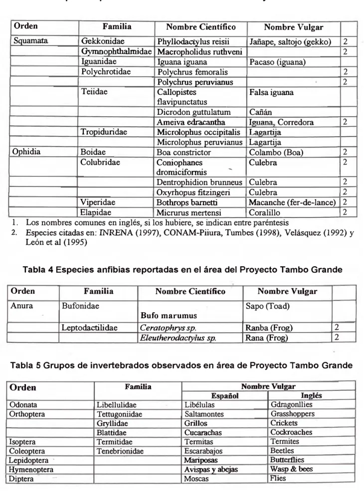 Tabla 3. Reptiles reportados u observados en área del Proyecto Tambo Grande 