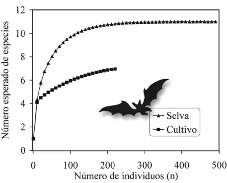 Figura 2. Rarefacción de la diversidad de murciélagos de la subfamilia Stenodermatinae