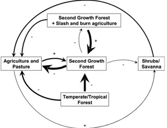 Fig. 3 shows pathways of change observed among the dif- dif-ferent types of LUCC. Lines indicate pathways; arrowheads the direction of change