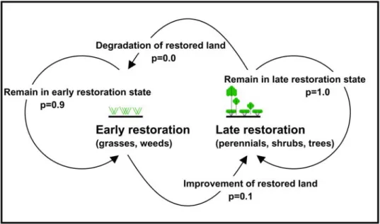 Figure 3. This model predicts the eventual replacement of the early restoration community by the later restoration community
