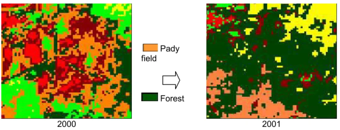 Figure 6: Plantation and Paddy Field changes. 