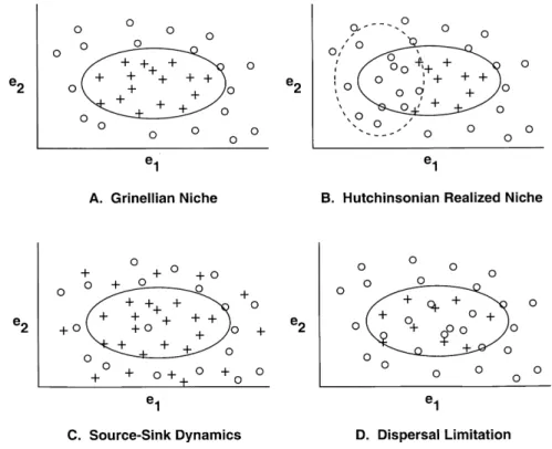 Figure 1 Four views of the relationship between niche and species distribution. In each diagram, the solid oval refers to the fundamental niche or the combination of environmental factors (e 1 and e 2 ) for which the species has a finite rate of increase (