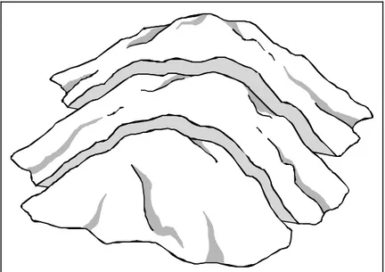 Figure 5-2.  A One-Dimensional Sample of Cross- Cross-Sections from a Waste Pile