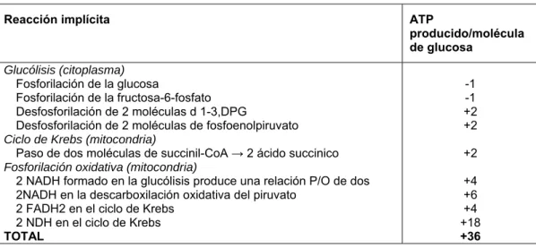 Tabla 1. Rendimiento energético de la respiración celular.  