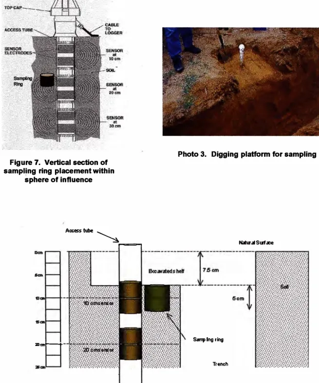 Figure 8.  Side profile of excavated pit showing sampling depth 