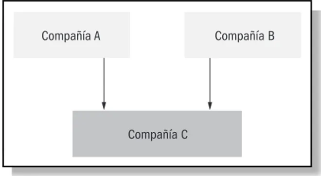 Figura 3.6 Formación de una empresa conjunta