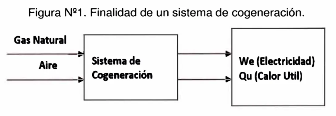 Figura N º 1. Finalidad de un sistema de cogeneración. 