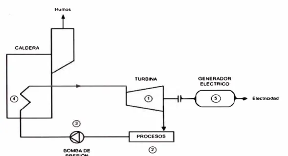 Figura N º 5. Sistema de cogeneración con turbina de vapor a contrapresión. 