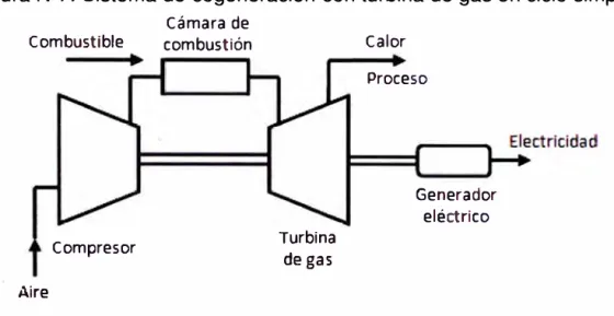Figura N º 7. Sistema de cogeneración con turbina de gas en ciclo simple. 