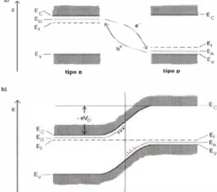 Figura  4.  Formación de  la  unión semiconductora p-n (a)  Esquema  de bandas  en  los  materiales  dopados  tipo  n  y  tipo  p  mostrando  las  bandas  de  conducción  Ec,  de  valencia Ev, los niveles donantes E D , los niveles aceptores EA y el nivel 