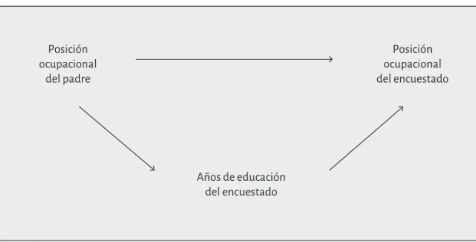 gráfico 6