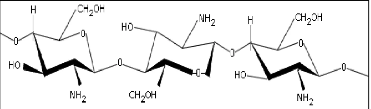 Fig. 5. Estructura del chitosan (12)