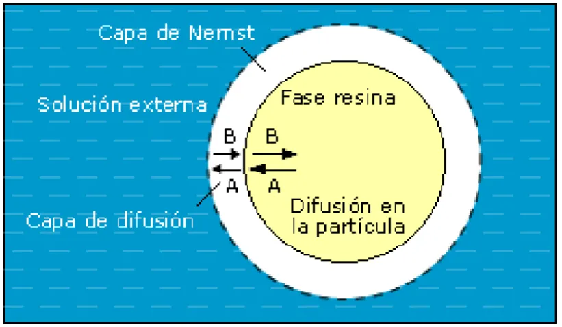 Fig. 10.  Esquema del proceso de difusión en el intercambio iónico. 