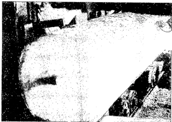 FIG. N° 1.5  ASERRIO DE TROZA 