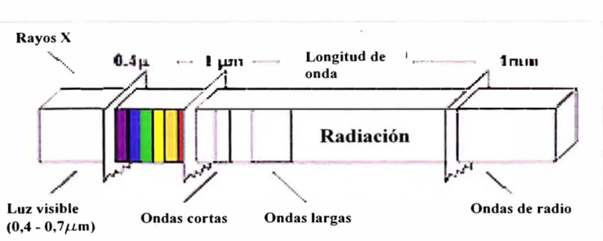 Fig. 12. Espectro electromagnético. 