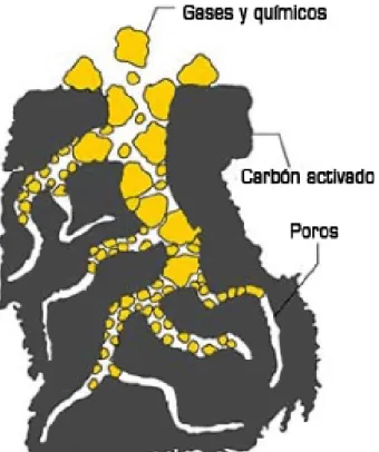 Figura N° 3.3   Carbon activado 