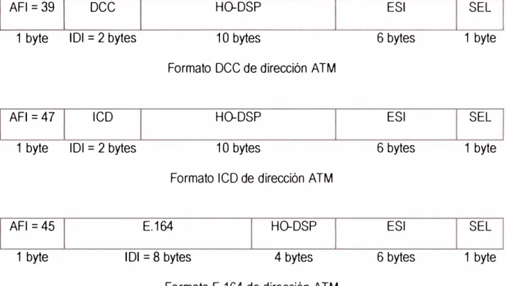 Figura  1.6 - Formatos de dirección en una red ATM privada 