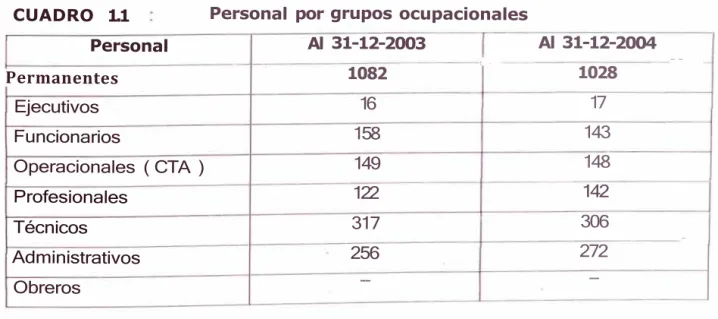 CUADRO  1.1  Personal por grupos ocupacionales 