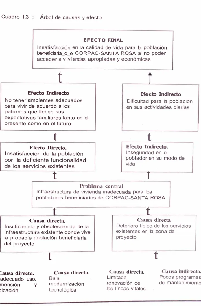 Cuadro 1.3  Árbol de  causas y efecto 