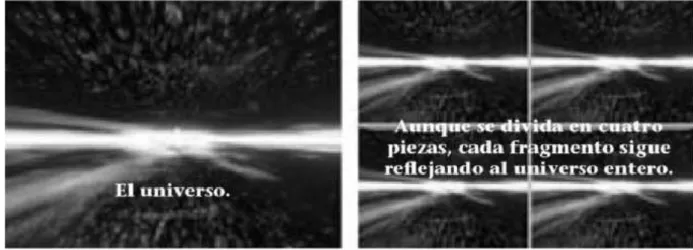 Figura 9. Cuando algo es holográfico, existe en su totalidad en cada fragmento de sí  mismo, sin importar en cuantas piezas se divida