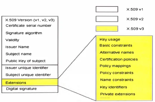 Fig. 11  Certificado X.509 y sus extensiones 