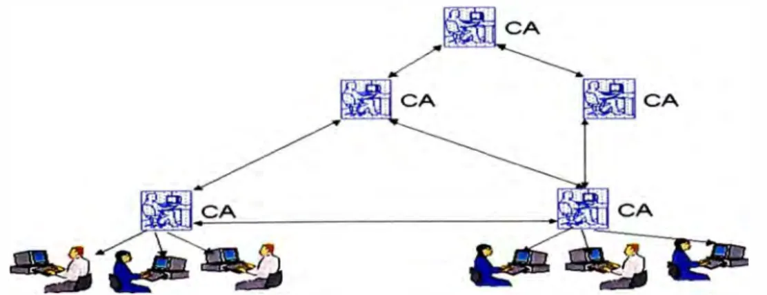 Fig.  13  Jerarquía General 