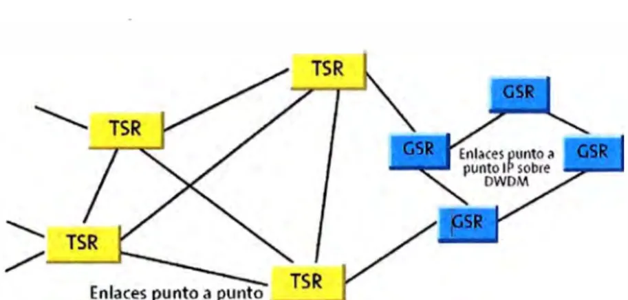 Fig. 2.5  IP sobre DWDM [13] 