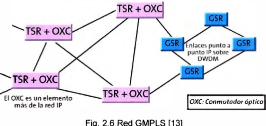 Fig. 2.6 Red GMPLS [13] 