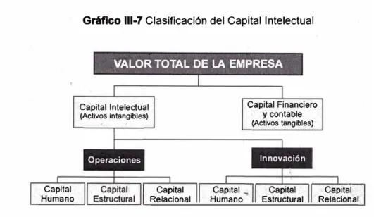Gráfico 111-7 Clasificación del Capital Intelectual 