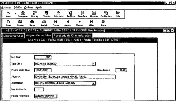 Fig.  2.8.  Registro  1  Citas 
