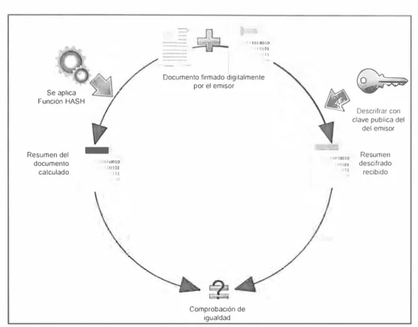 Fig. 3.1 O: Proceso de comprobacion de firma digital 