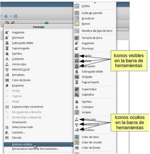 Figura 5: Selección de iconos visibles en las barras de  herramientas