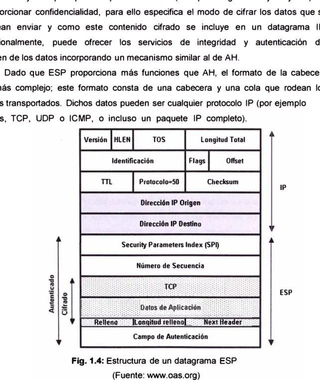 Fig. 1.4:  Estructura  de un datagrama  ESP  (Fuente: www.oas.org) 