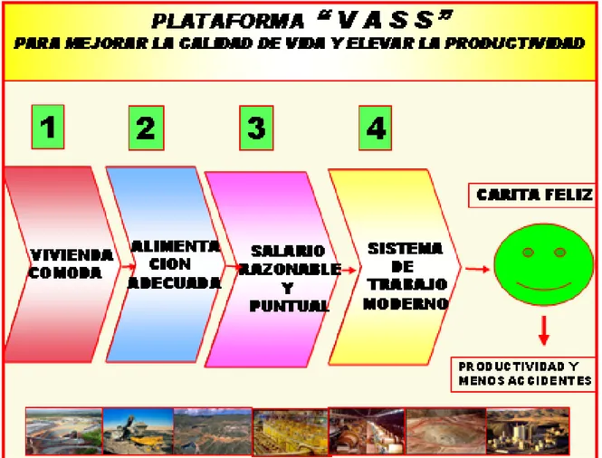 Figura N° 5 Plataforma VASS 