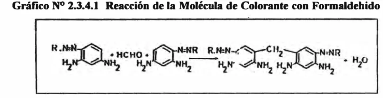Gráfico NO 2.3.4.1  Reacción de la Molécula de Colorante con Formaldehido 