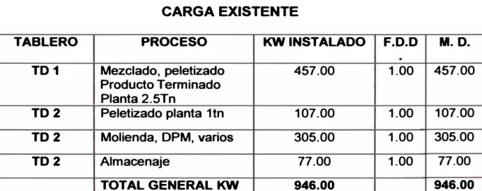 CUADRO 3.1  CARGA EXISTENTE 