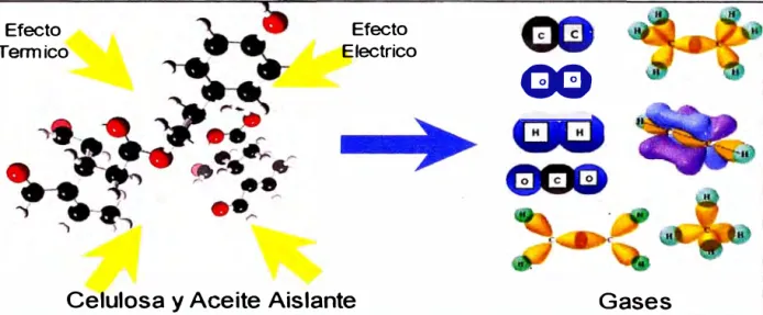 Figura 5.  Proceso de formación de gases. 