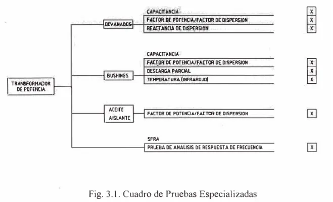 Fig. 3.1. Cuadro de Pruebas Especializada 
