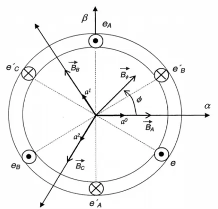 Fig.  1.2  Representación de la sección del motor de inducción. 