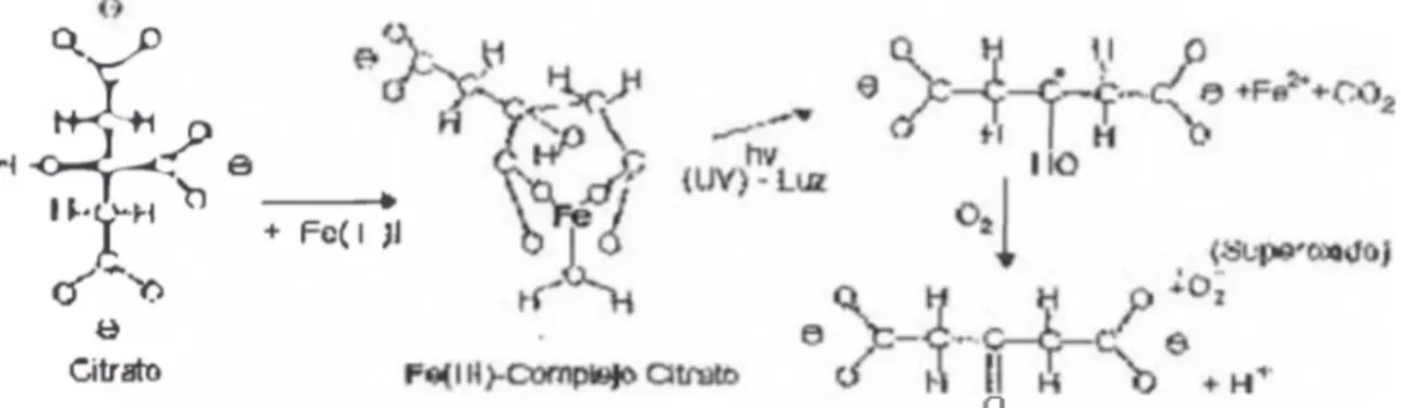 Figura 4.  Formación de anión superóxido por oxidación solar de citrato de hierro  [3]