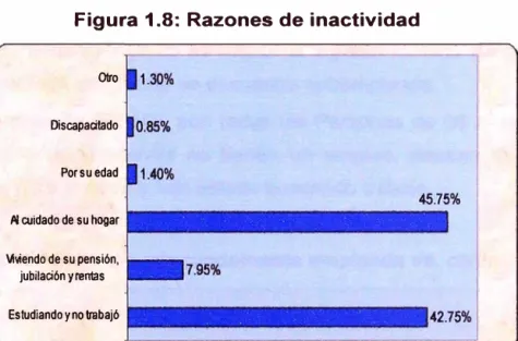 Figura 1.8:  Razones de inactividad 