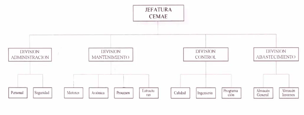 Fig. 2.1  ORGANIGRAMA DEL CEMAE 