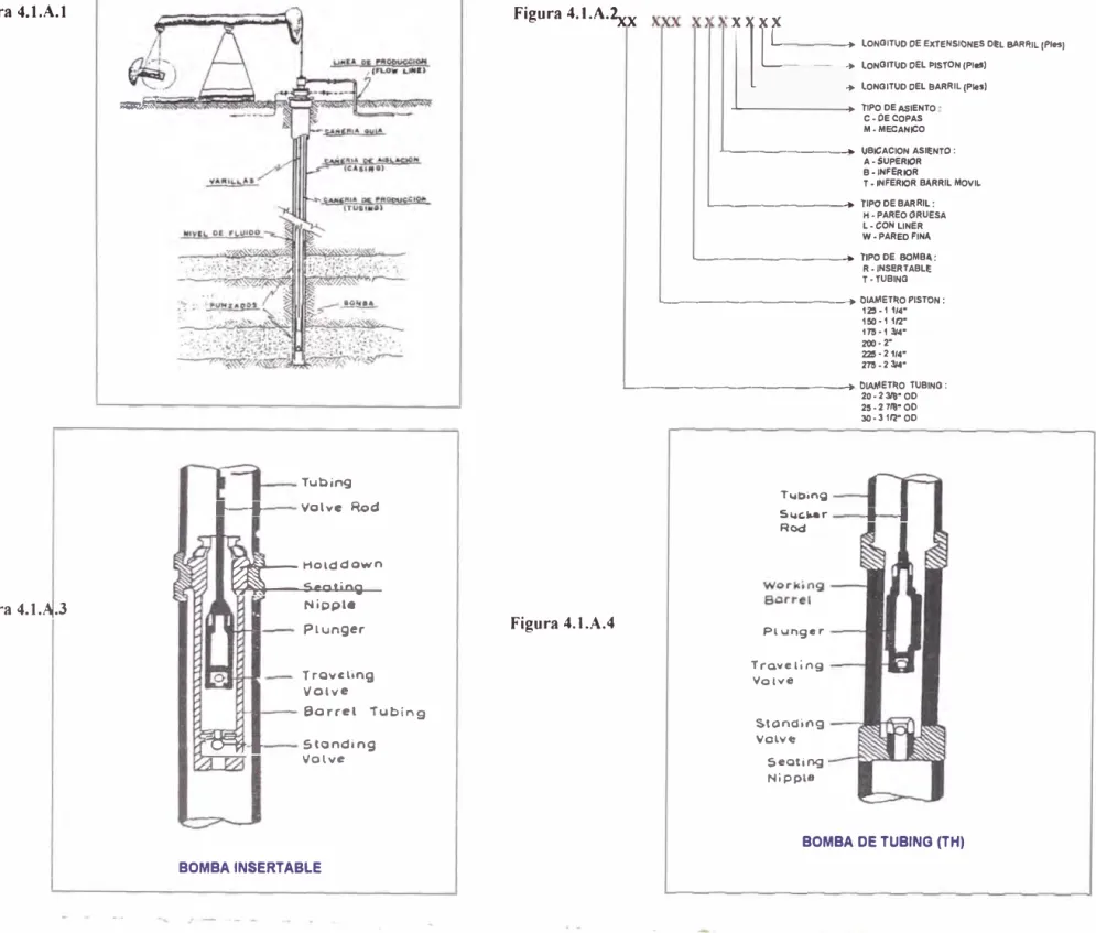 Figura  4.1.A.2xx 