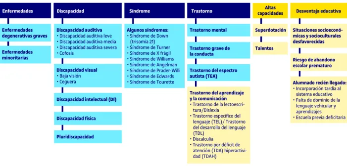 Figura 3. Clasificación de las NEAE en la escuela