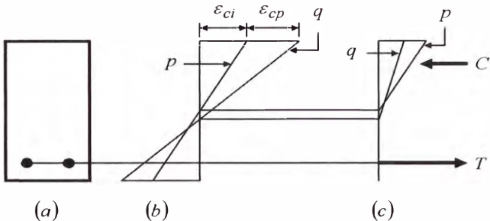 Figura  1.7  Efecto del  flujo  plástico:  (a)  Sección transversal,  (b)  Deformaciones,  (c)  Esfuerzos 