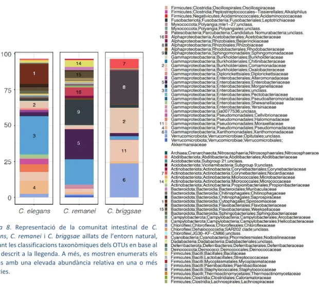 Figura  8.  Representació  de  la  comunitat  intestinal  de  C. 