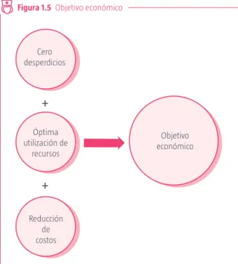 Figura 1.  Objetivo económico