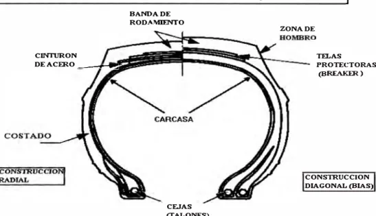 Fig.  2.4  Comparación  Radial  vs.  Convencional 