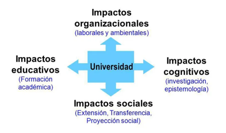 Figura 9 Tipos de impactos universitarios en el entorno   